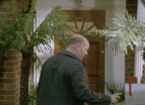 Front door with palm trees